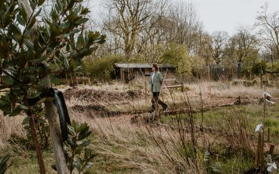 Wat is een voedselbos en waarom is het zo briljant?