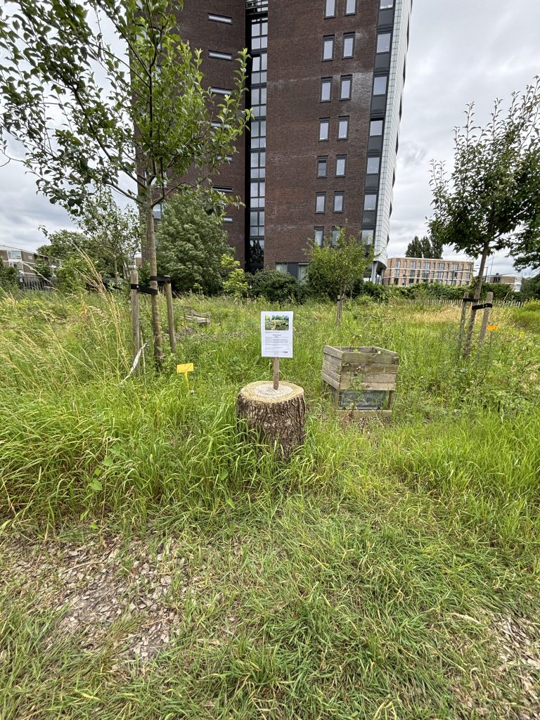 Voedselbos in de stad Utrecht met flat op de achtergrond