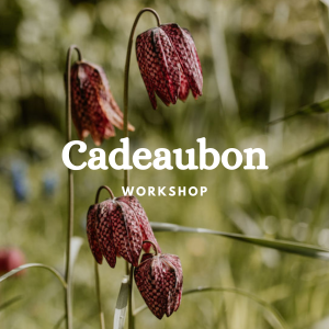 Cadeaubon workshop
