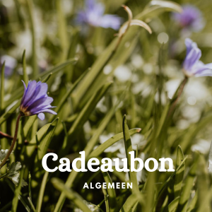 Cadeaubon (algemeen)