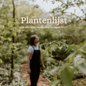 Plantenlijst voor een mini-voedselbos in kleine tuinen