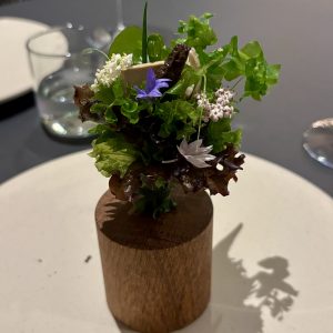 Voorjaarsboeket - review De Nieuwe Winkel